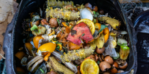 Composting at home